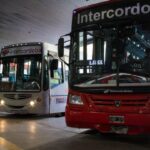 Descubre cómo obtener el subsidio de transporte en Argentina