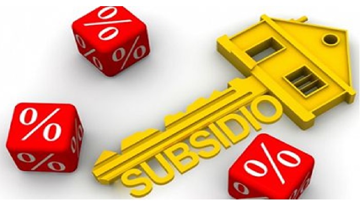Descubre qué son los subsidios estatales y su impacto en la economía-1