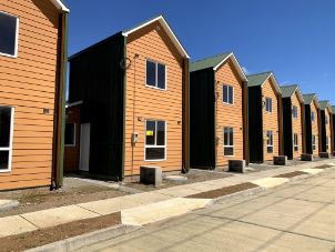 Descubre cómo obtener el subsidio DS para tu hogar-1