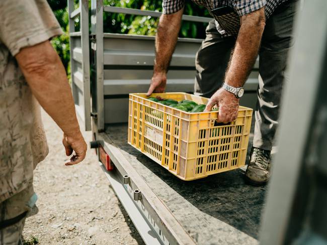 Subsidio para pequeños productores: el apoyo financiero que estabas buscando.-1