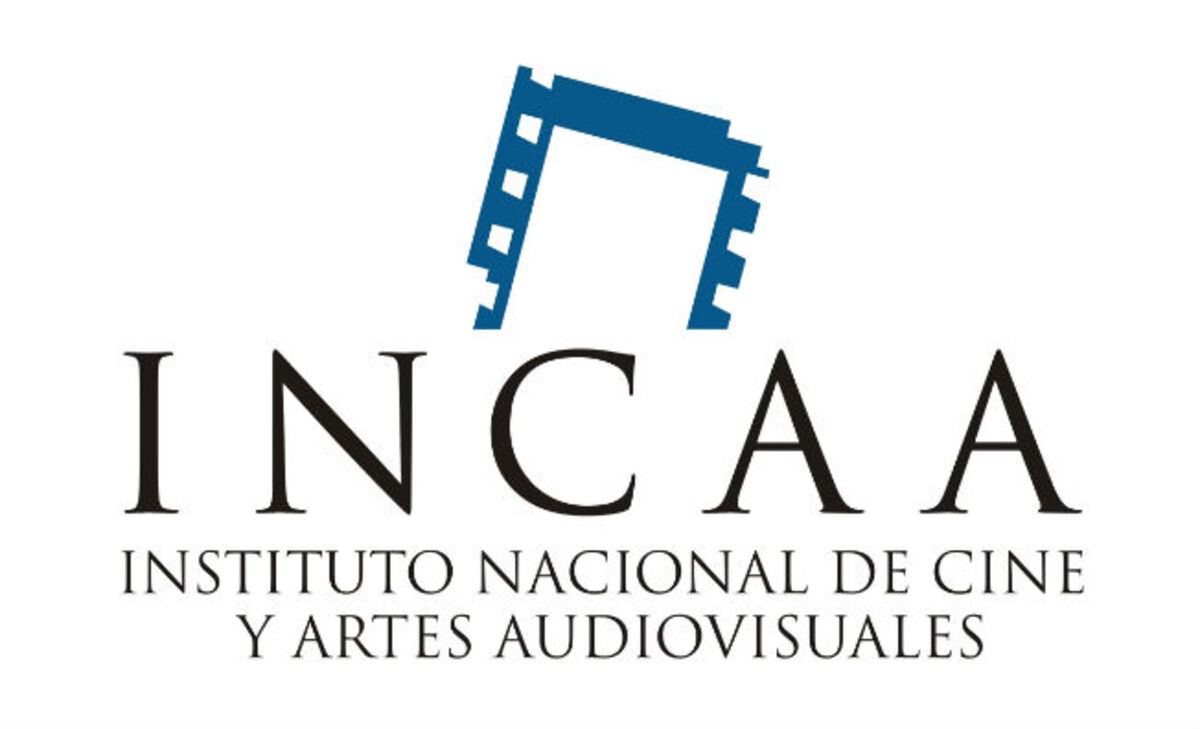 Guía completa de Subsidios INCAA: Todo lo que necesitas saber-1